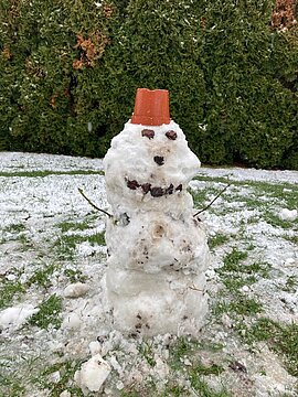 Schneemann (20)