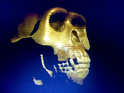FullSizeRender