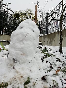 Schneemann (17)