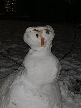 Schneemann (13)