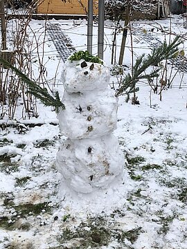 Schneemann (14)