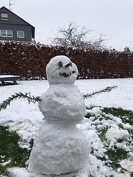 Schneemann (19)