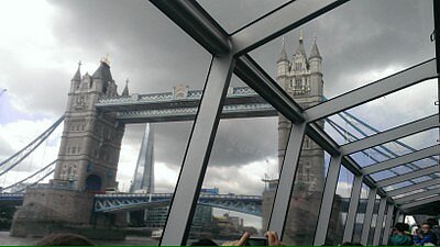 WP_20150519_054