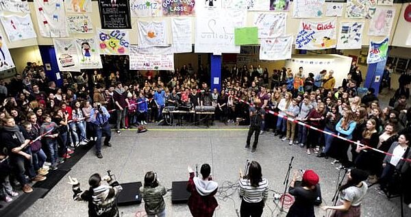 Cimorelli 2015