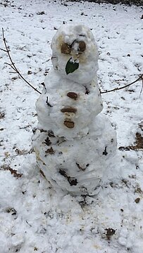 Schneemann (18)