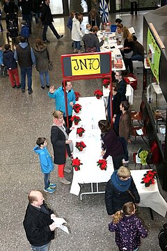 IMG_5686