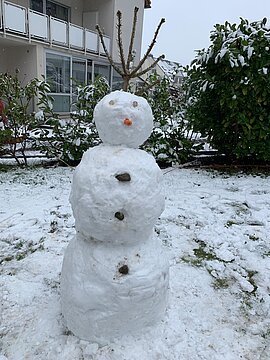 Schneemann (23)
