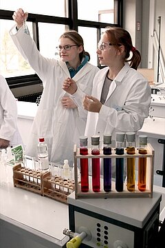 IMG_5661