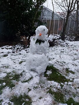 Schneemann (8)