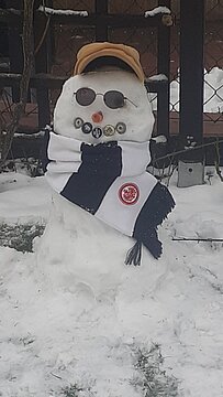 Schneemann (1)