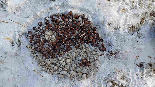 Land-Art-2