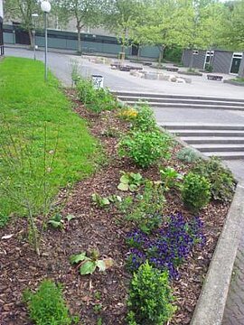 20130517_134122