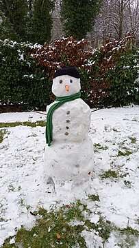 Schneemann (5)