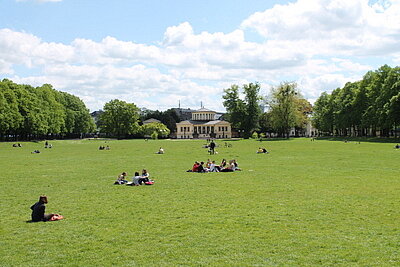 IMG_4712