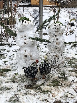 Schneemann (15)