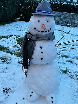 Schneemann (10)