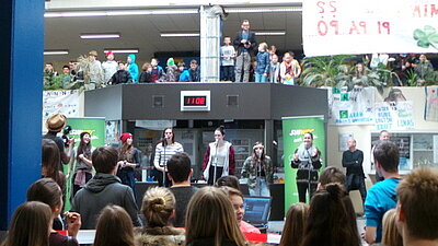 Cimorelli-3