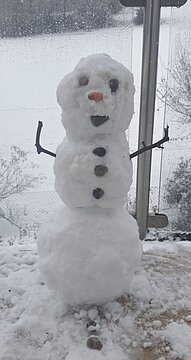 Schneemann (22)