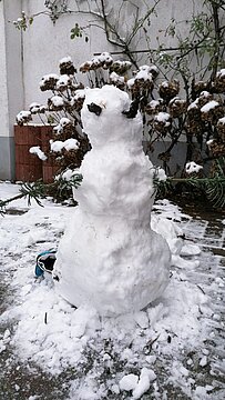 Schneemann (21)
