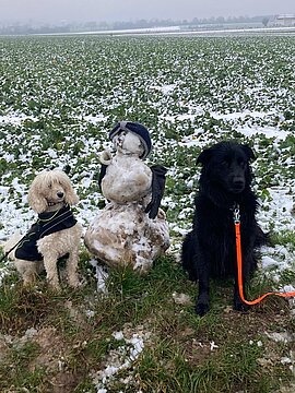 Schneemann (12)